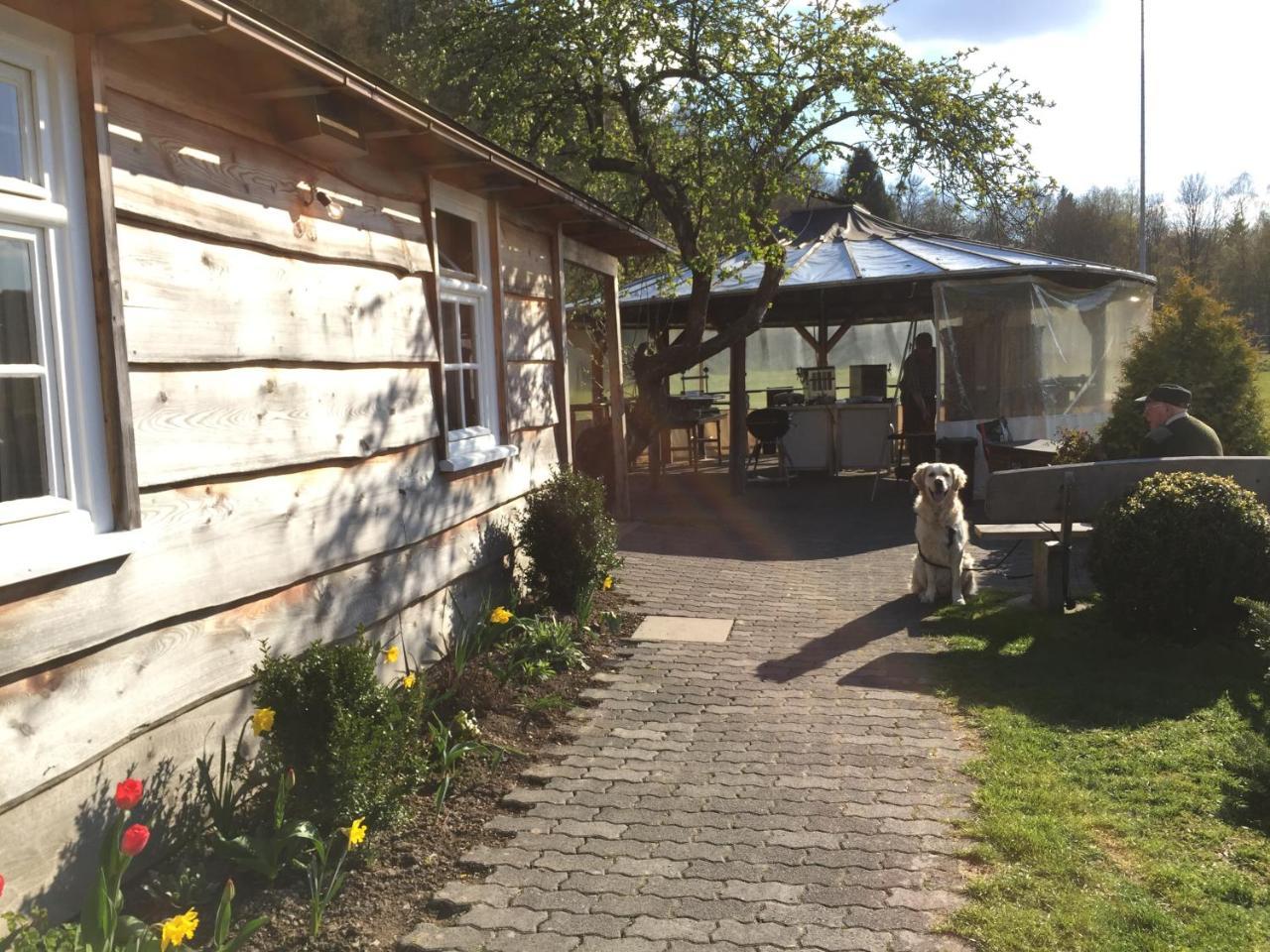 Gaestehaus Schwarzenauer Muehle Bad Berleburg Εξωτερικό φωτογραφία